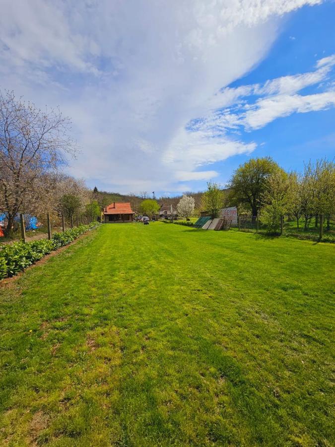 Fruska House Villa Besenovacki Prnjavor ภายนอก รูปภาพ