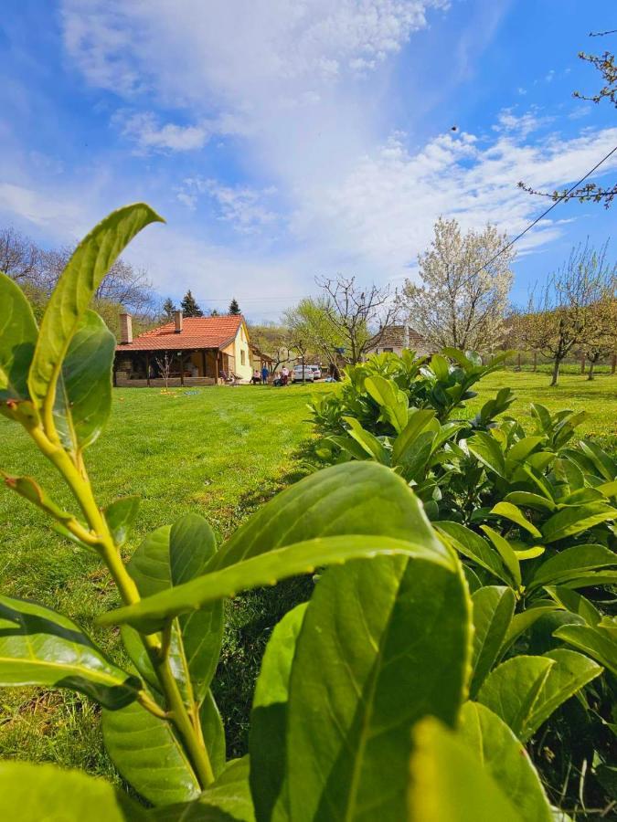 Fruska House Villa Besenovacki Prnjavor ภายนอก รูปภาพ